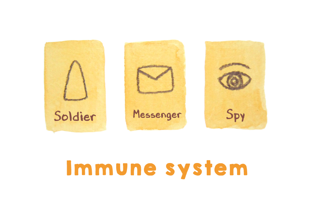 The immune system, by Elfy Chiang