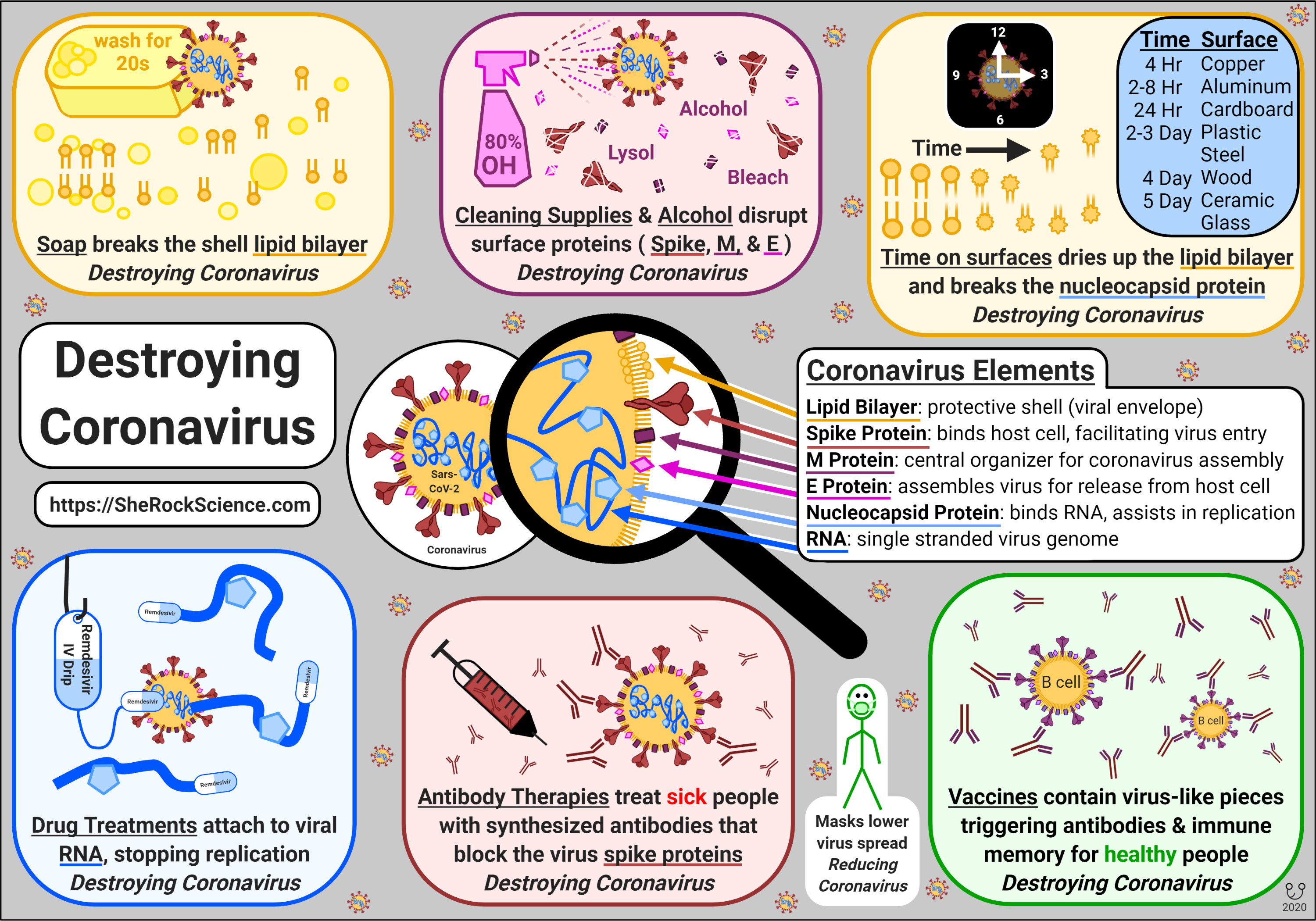 Destroying Coronavirus, by Shira Gordon