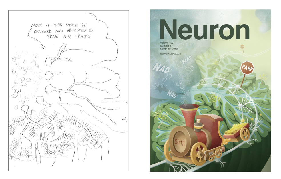 Neuron Cover Design by Daisy Chung