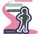 Creating Vaccines GIF