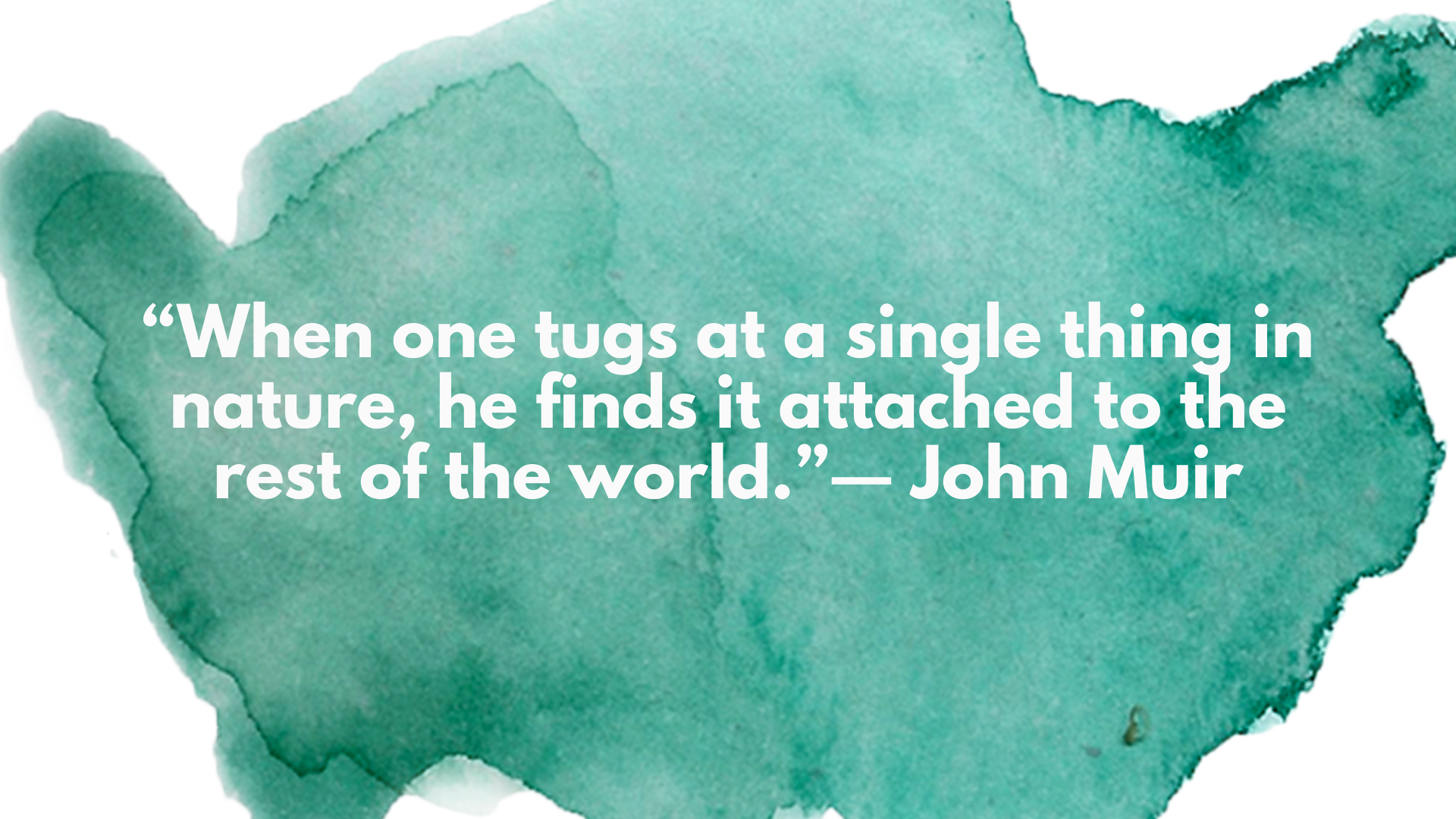 “When one tugs at a single thing in nature, he finds it attached to the rest of the world.” ― John Muir