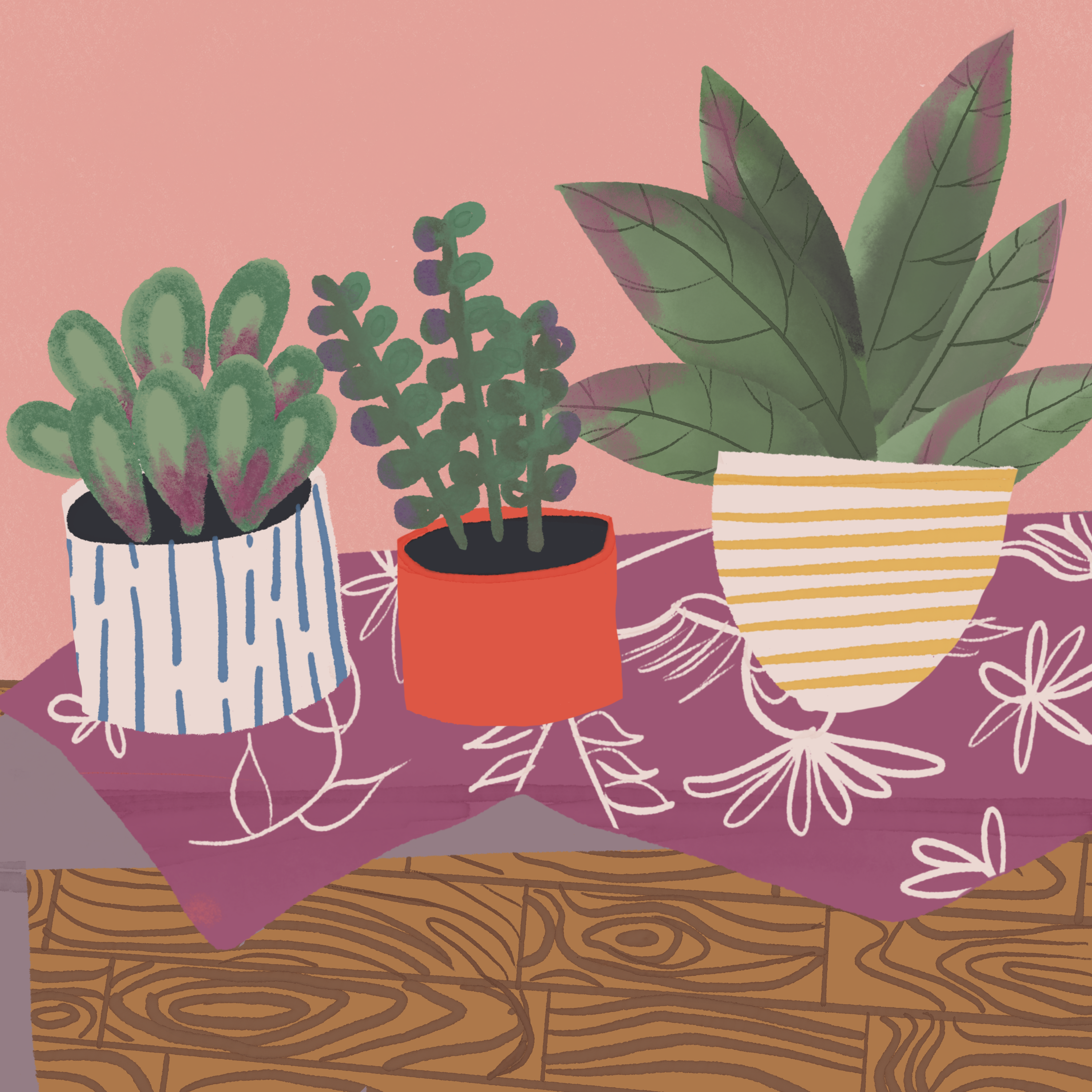 Plant Illustration 3 - Elaine Algarra
