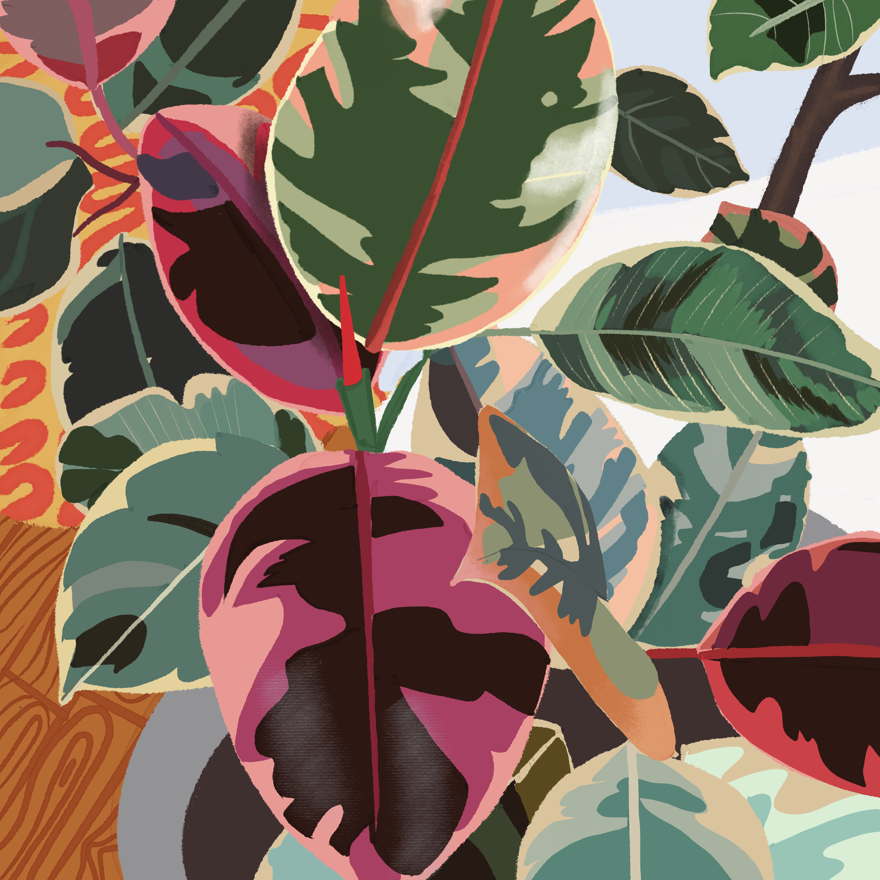 Plant Illustration - Elaine Algarra