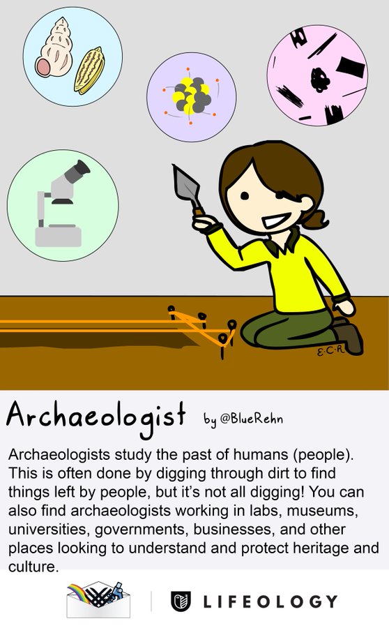 A flashcard describing what an archaeologist does
