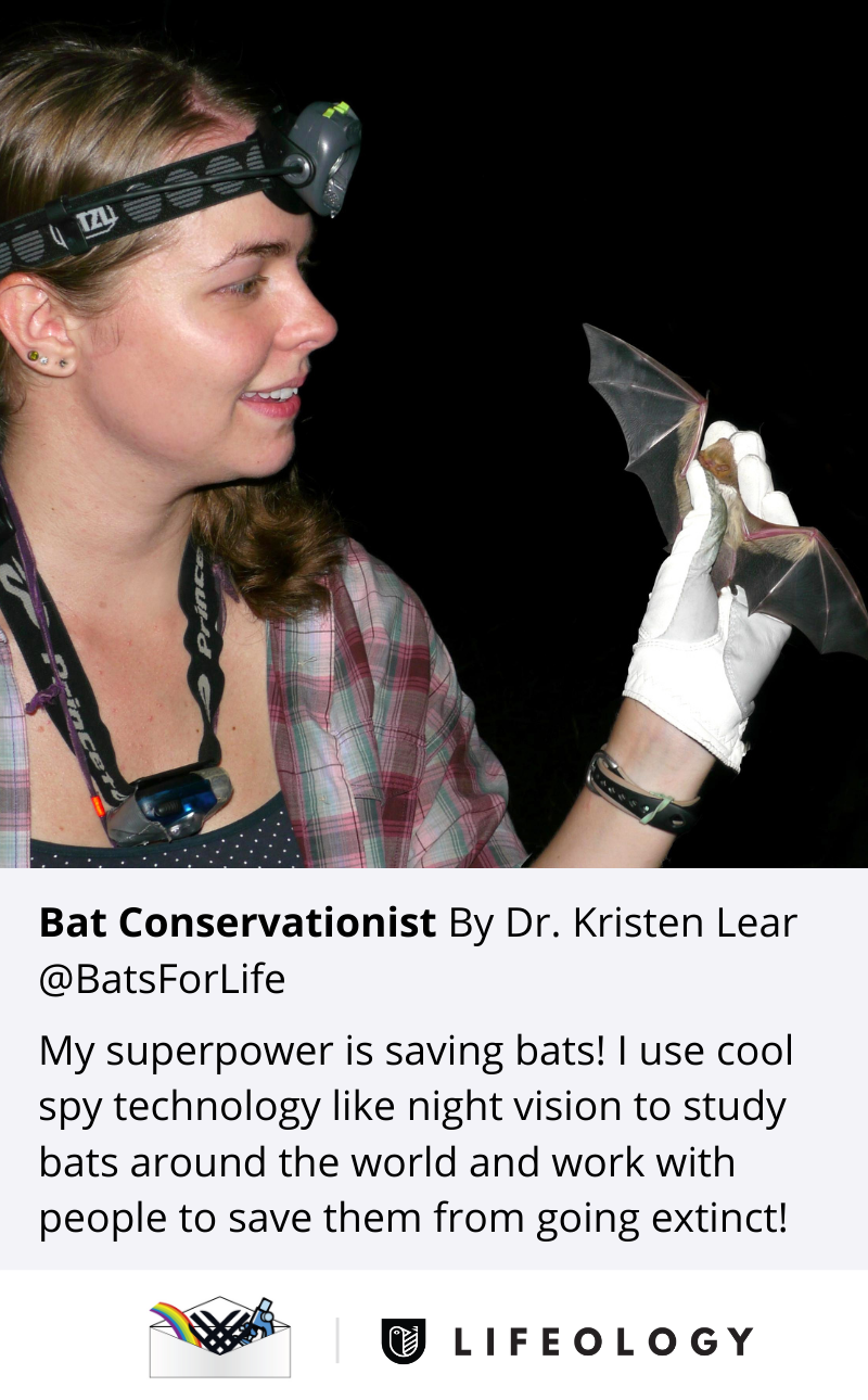 A flashcard describing what a bat conservationist does.