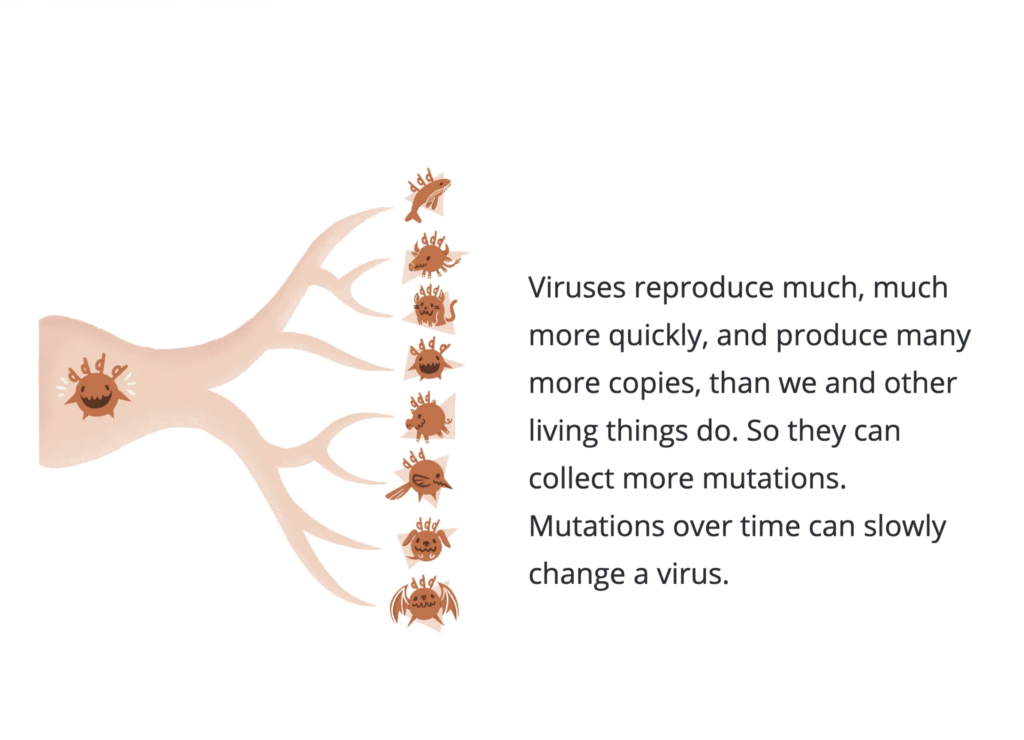 Virus mutations visual
