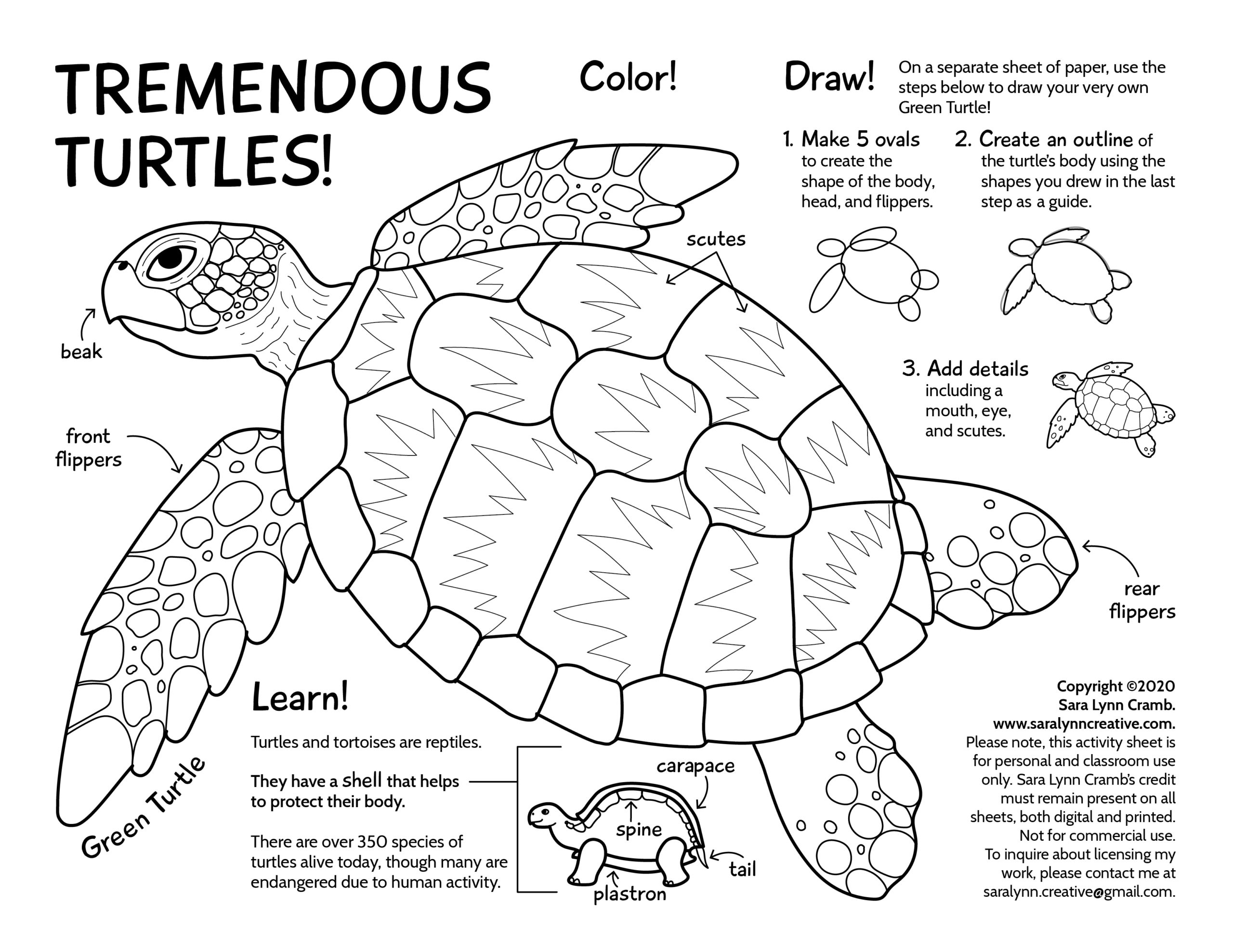 In this turtle coloring page I identify some of the main components of the turtle’s anatomy to help kids understand the basics of the body parts. This, and the other coloring pages I create, are centered on a different theme each month. The pages combine line art illustrations that can be colored in with facts about the animal(s), and occasionally I include additional opportunities for artistic expression with learn-to-draw activities. These coloring pages combine artistic practice with interesting facts in a way that encourages learning and creativity.
