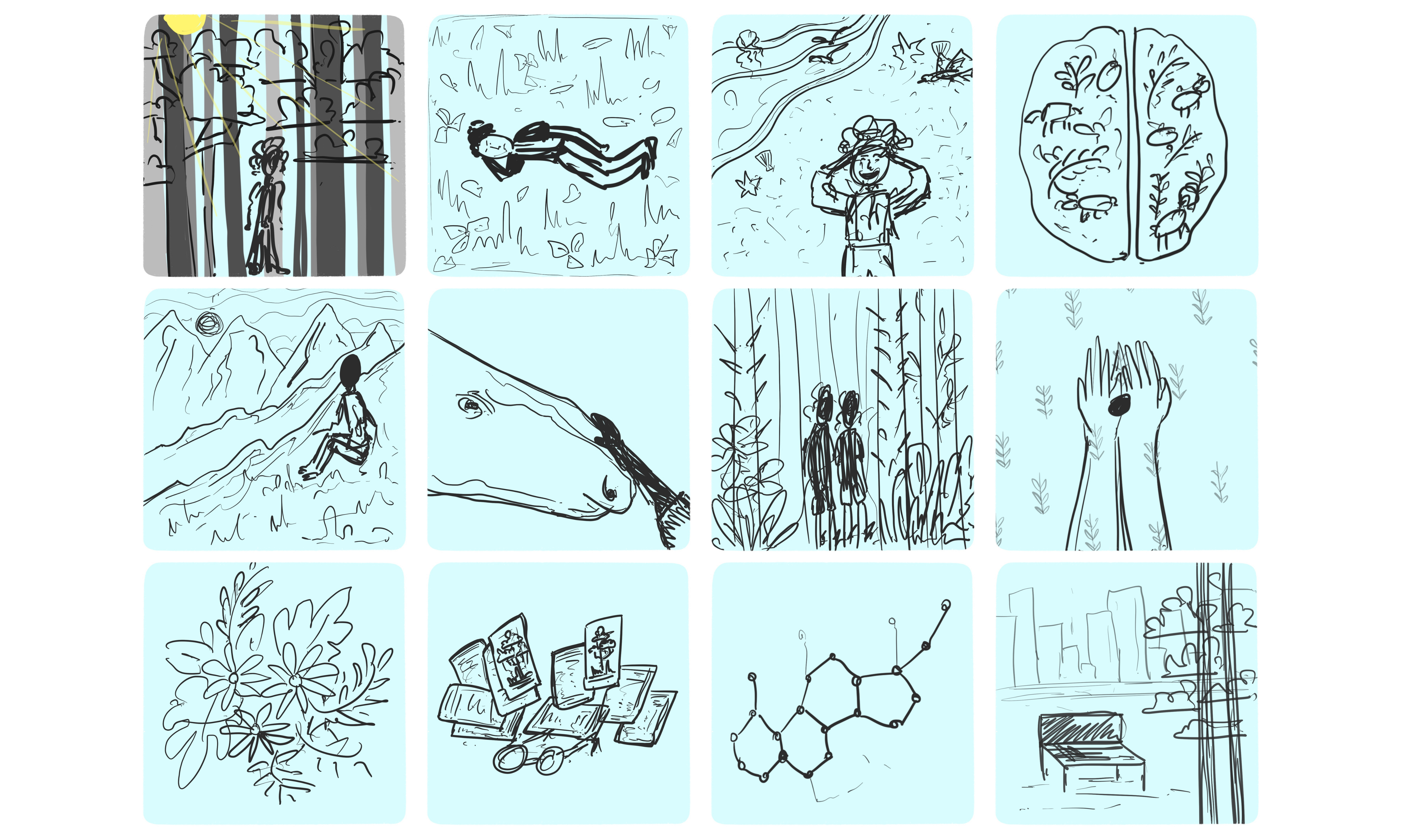 Storyboard for nature Therapy Course