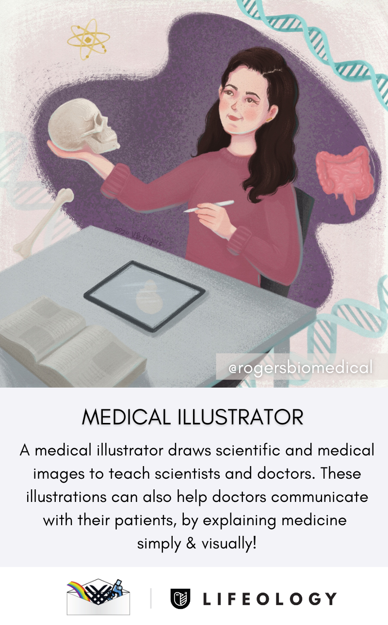 A flashcard describing what a medical illustrator does