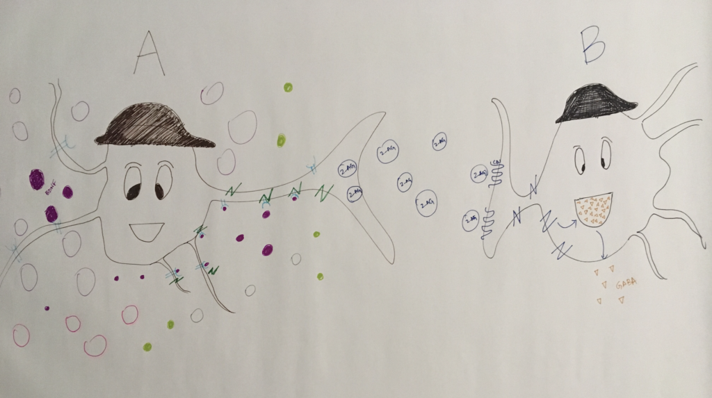 Draft drawing neurons