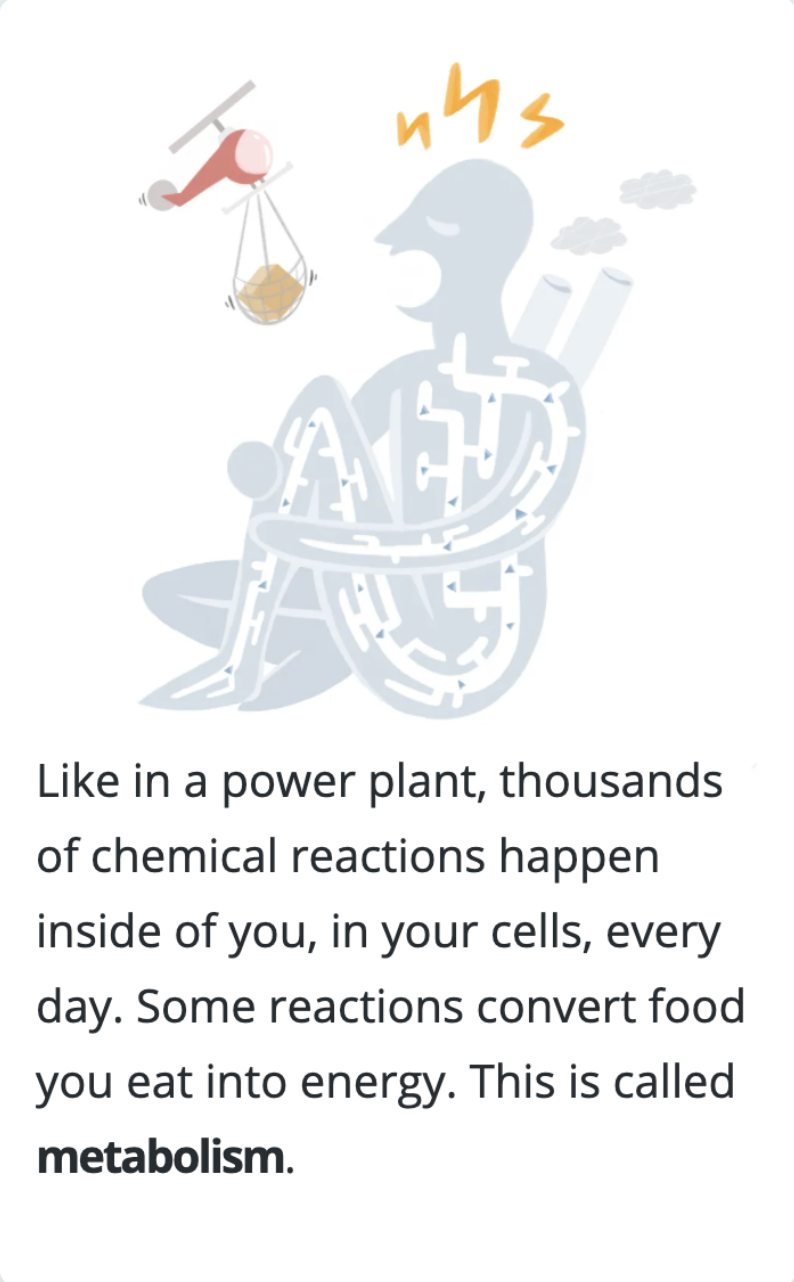 An illustration of the human body with power plant qualities. The text readsLike in a power plant, thousands of chemical reactions happen inside of you, in your cells, every day. Some reactions convert food you eat into energy.