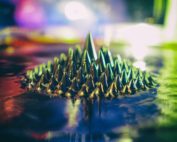 Creativity in science