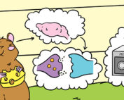 Memory and Neurons. Image from "What Are Endocannabinoids? What Do They Do in the Brain?"