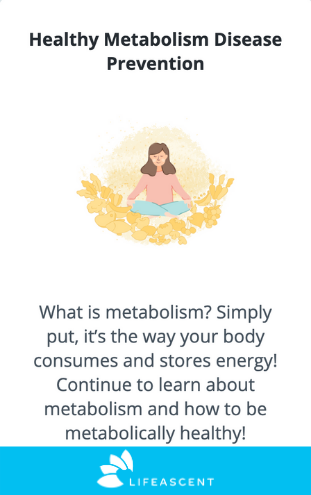 Metabolic Health Lifeology Course Cover