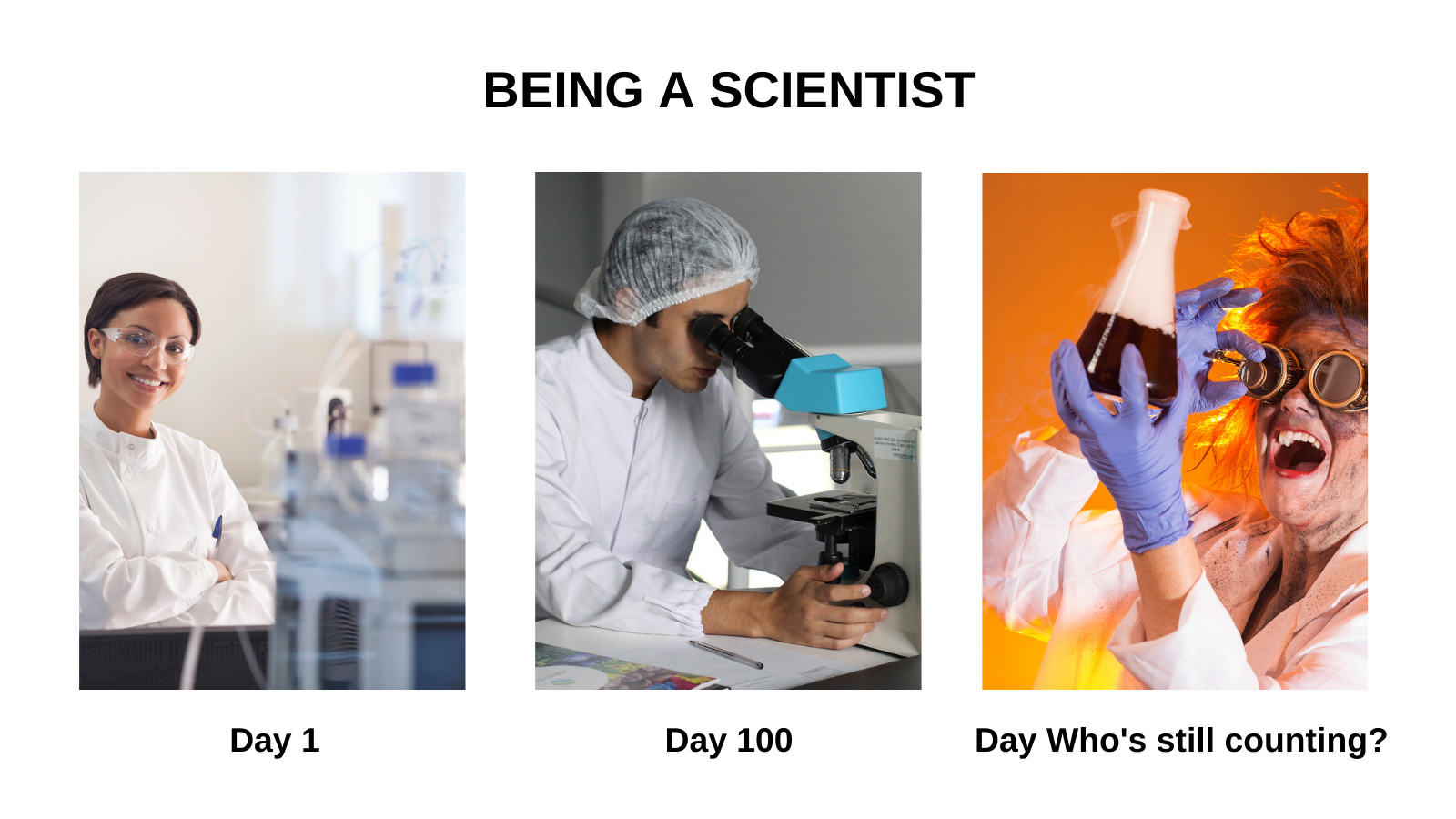 Being a Scientist Meme