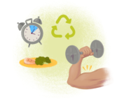 Exercise and intermittent fasting affect autophagy levels