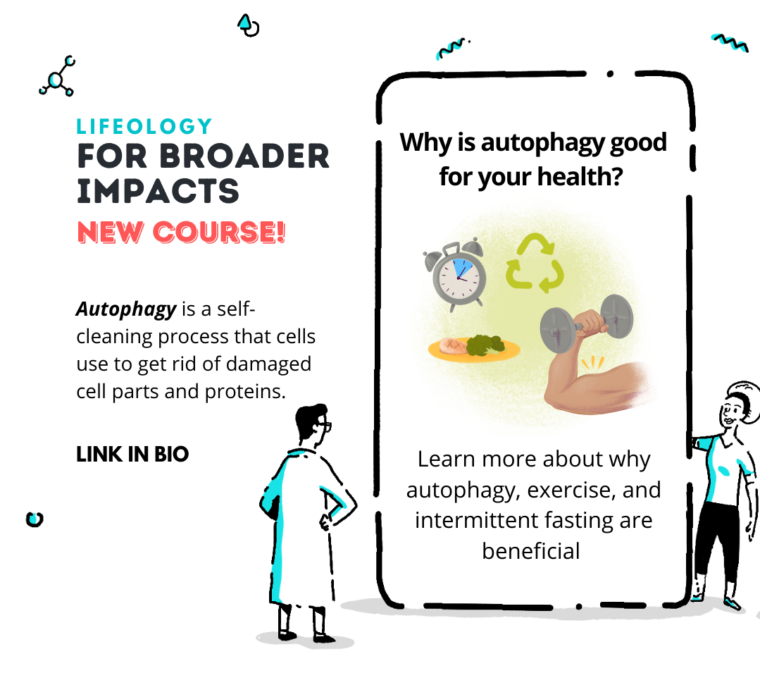New course: Why is autophagy good for your health?