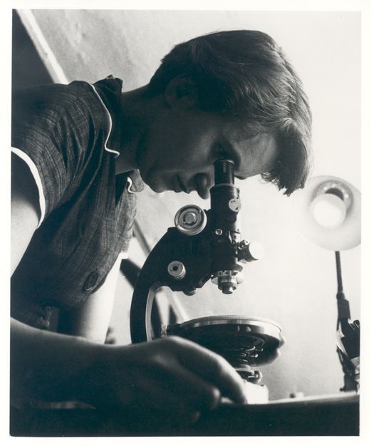Rosalind Franklin looking into microscope