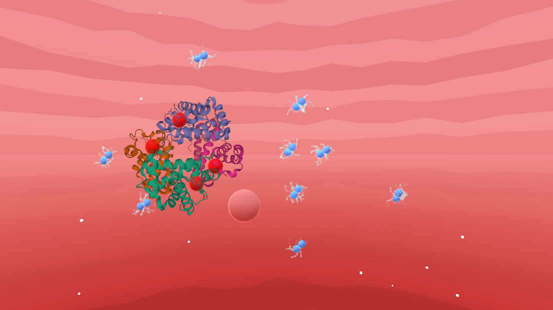 Hemoglobin molecule from Cooperativity mobile game