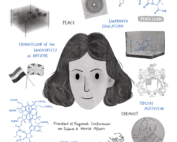 Drawing or Dorothy Hodgkin