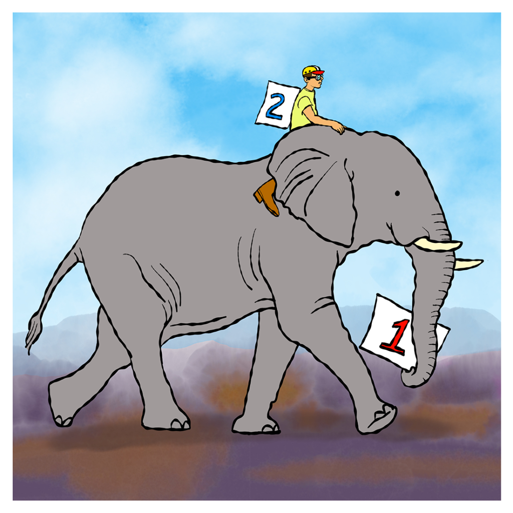 Motivated reasoning course image - rider on an elephant