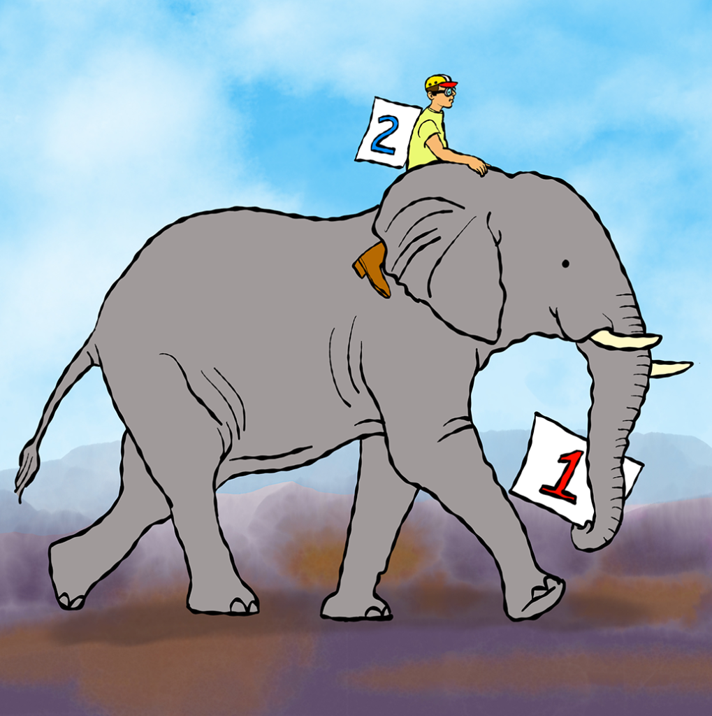 Motivated reasoning course image - rider on an elephant
