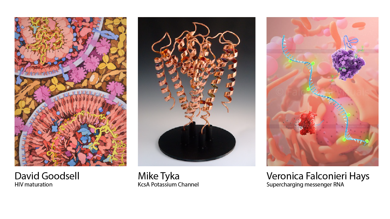 3 different art examples - david goodsell HIV maturation, Mike Tyka - KcsA Potassium Channel, and Verona Falconieri Hays - Supercharging messenger RNA