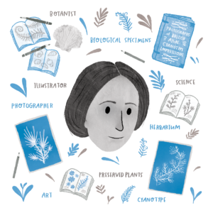 sketch of anna atkins with cyanotype photography and various words and icons around her