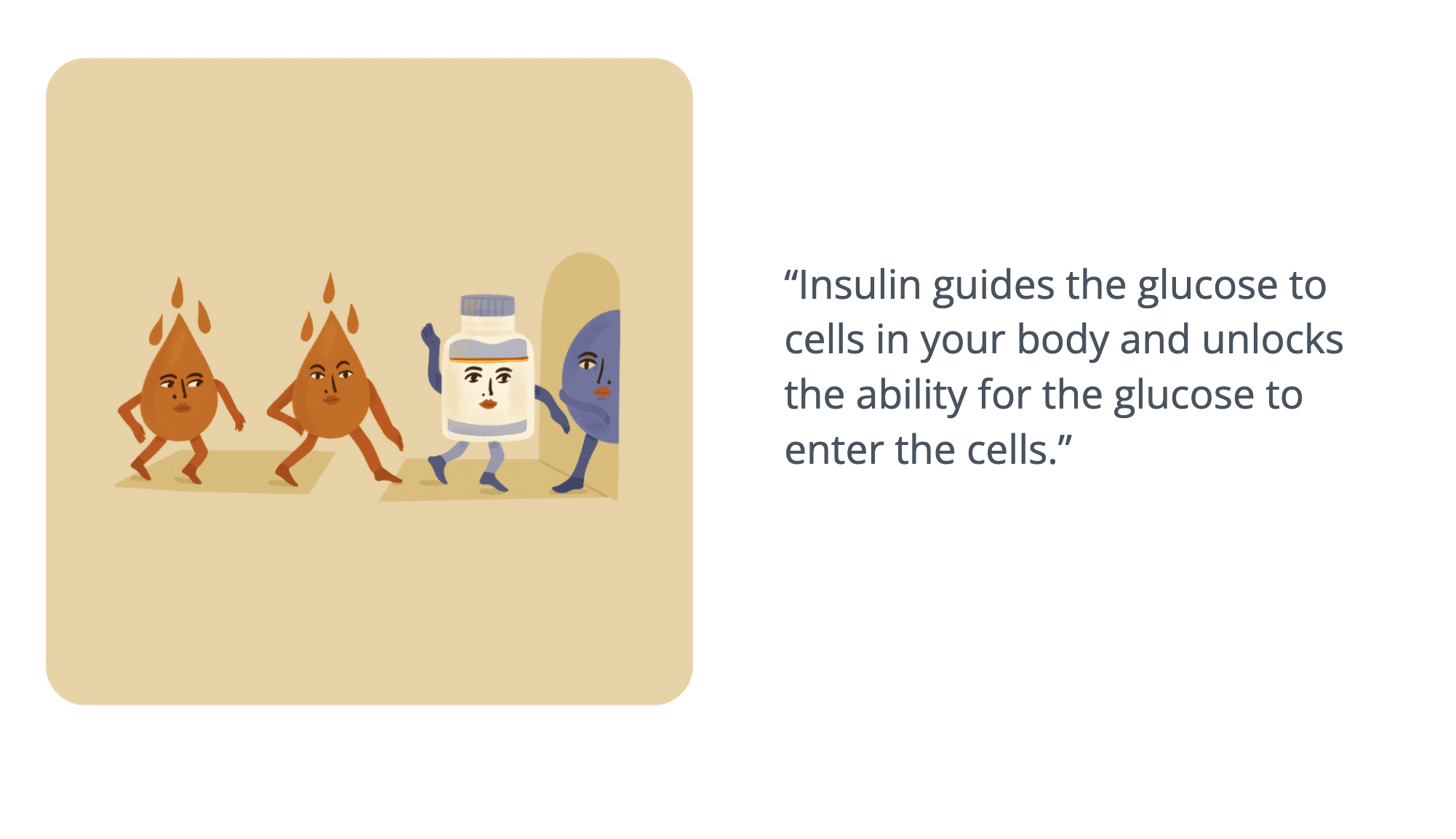 image of characterized blood glucose molecules, an insulin moleule, and a cell opening a door - card reads: "“Insulin guides the glucose to cells in your body and unlocks the ability for the glucose to enter the cells.”